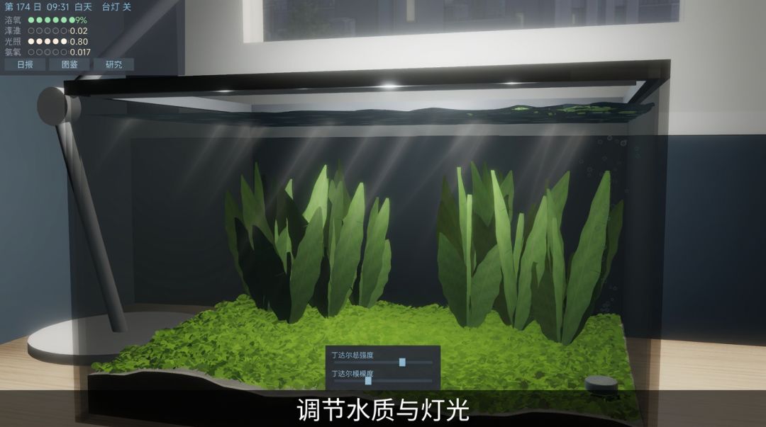 浪浪水族箱游戏截图