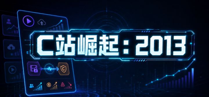 C站崛起:2013 封面