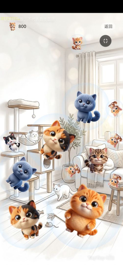 猫猫咪奇屋游戏截图