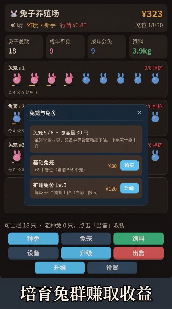兔子养殖模拟器游戏截图