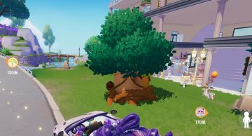 2月15日溜溜木位置