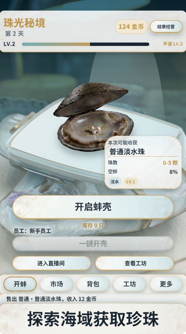 珠光秘境游戏截图