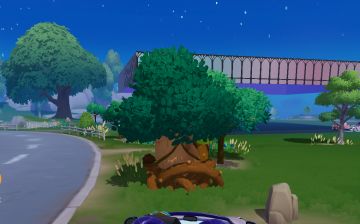 2月12日溜溜木位置