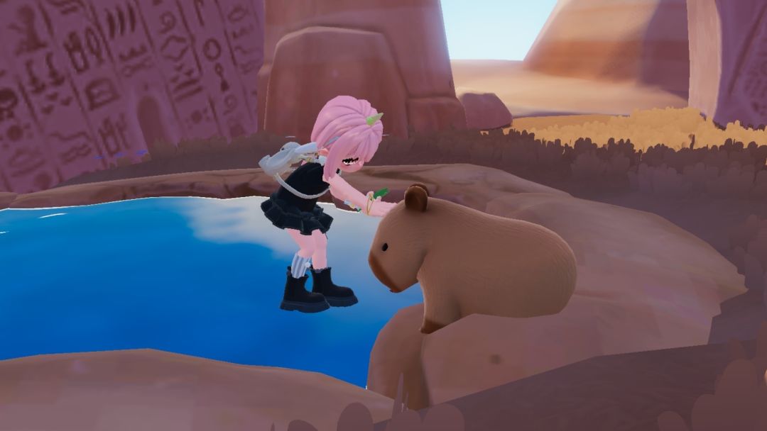 水豚 2