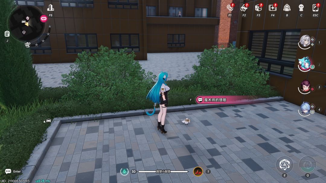 魔术师的馈赠 1