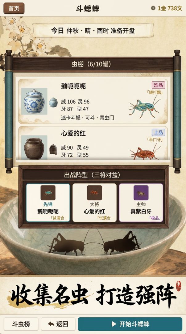 天天斗蟋蟀游戏截图