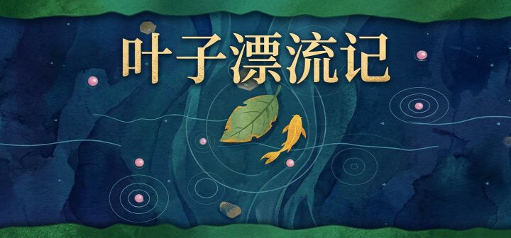 一片叶子的漂流 封面