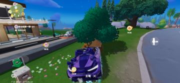 2月25日溜溜木位置