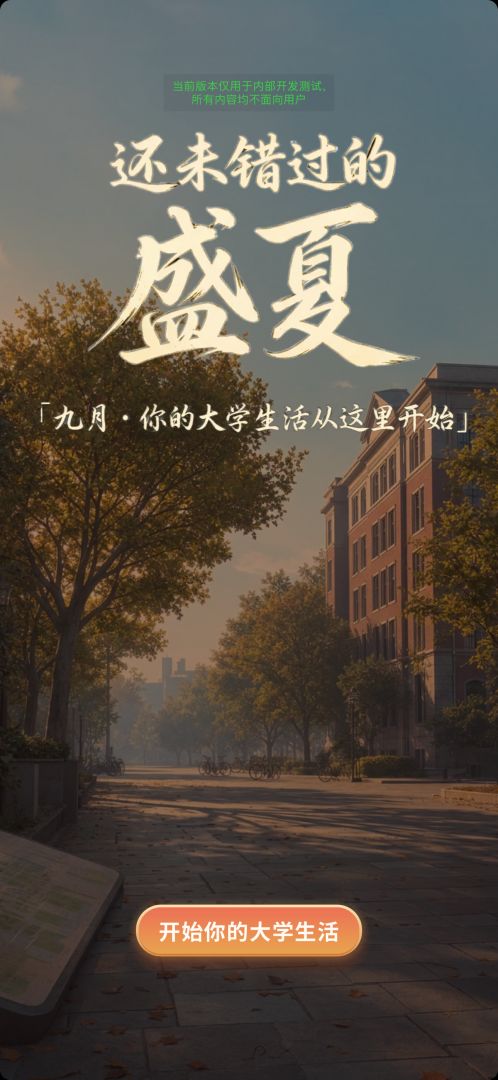 还未错过的盛夏游戏截图