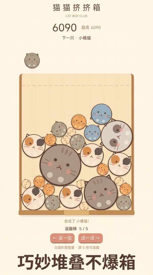 猫猫挤挤箱游戏截图