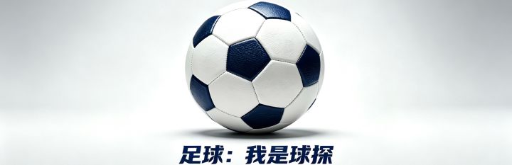 足球：我是球探 封面