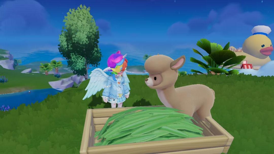 羊驼 食槽位置 1