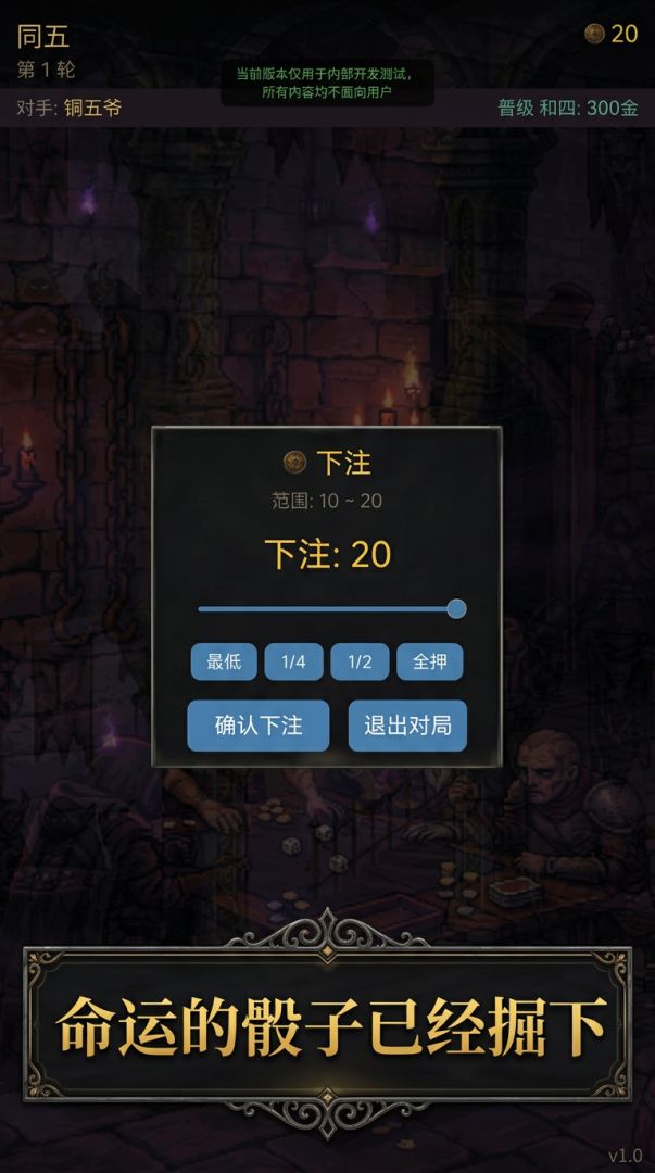暗黑骰子21游戏截图