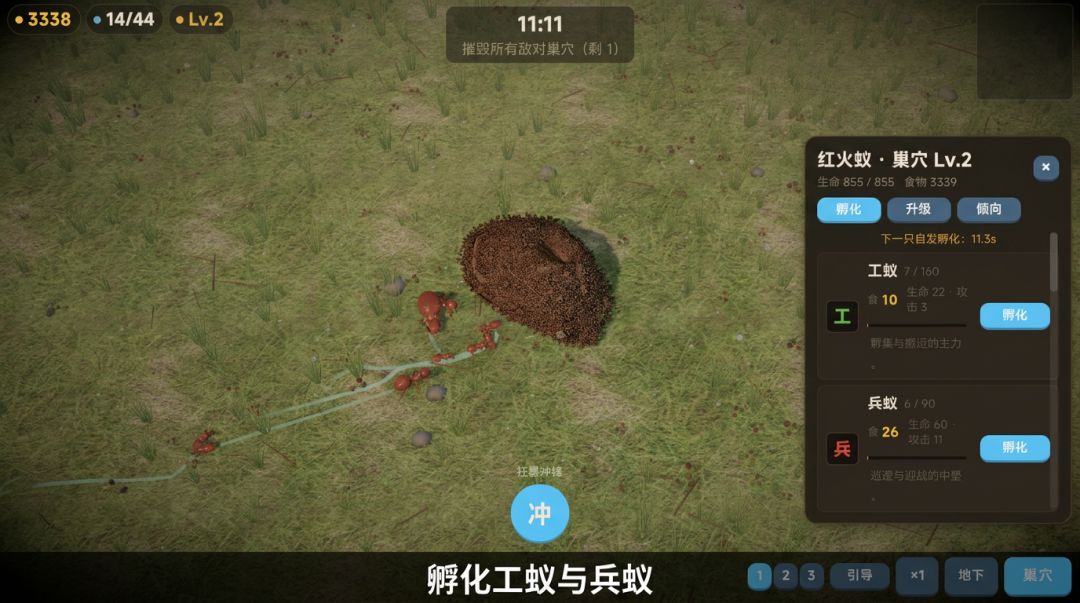 蚁群:争锋游戏截图