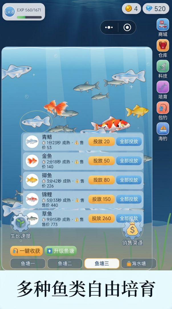 阵守三国游戏截图