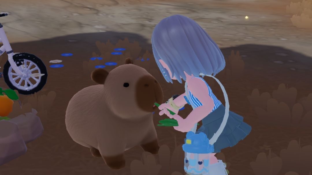 水豚 1