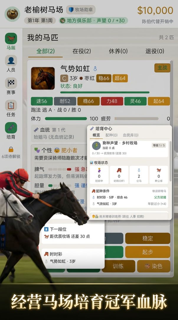 赛马俱乐部模拟游戏截图