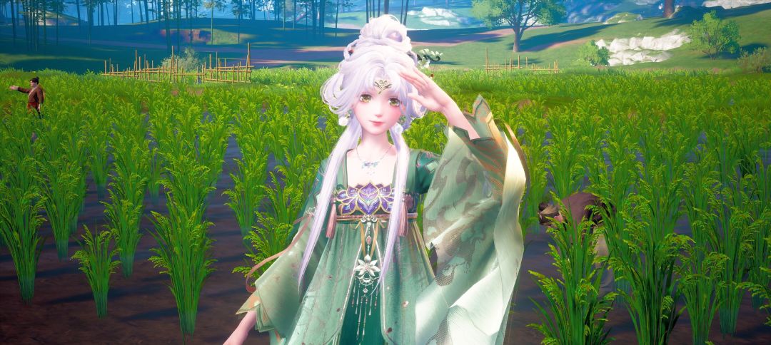 打卡村边畦田 1