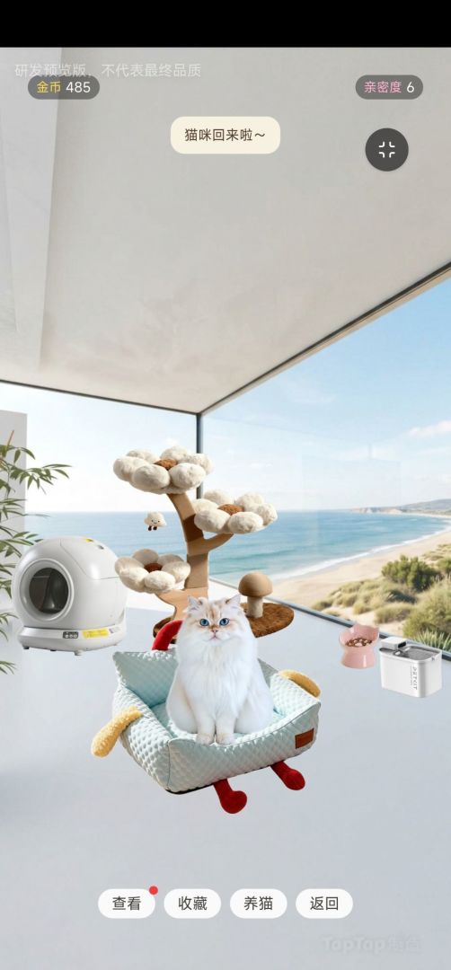 猫猫咪奇屋游戏截图