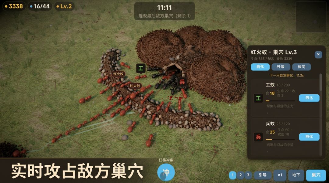 蚁群:争锋游戏截图