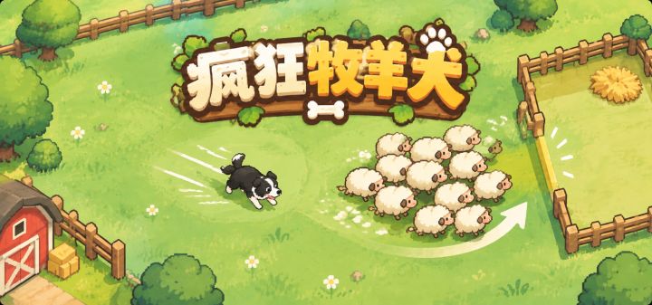 疯狂牧羊犬 封面