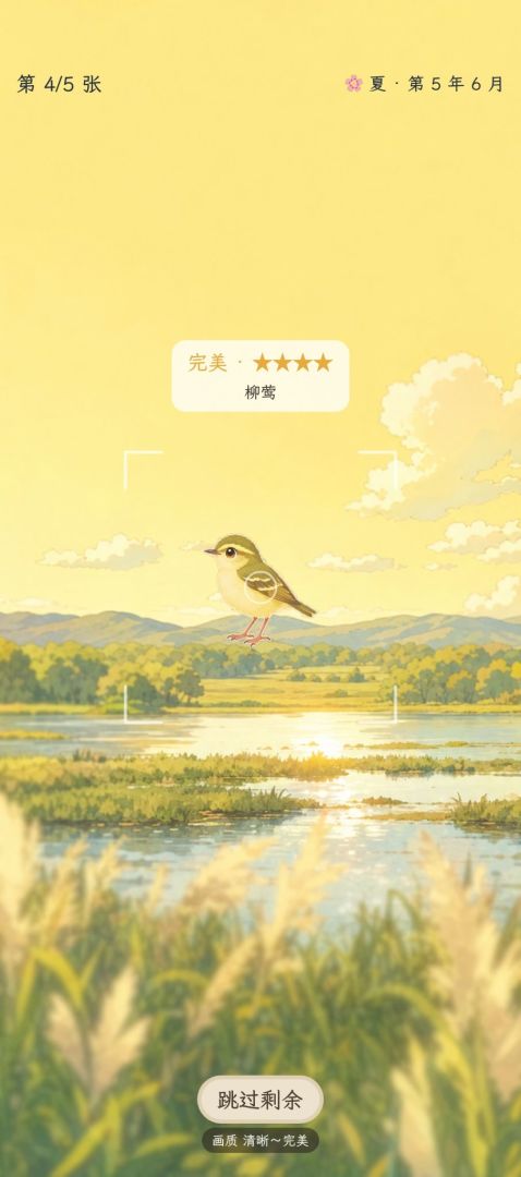 寻鸟日志游戏截图
