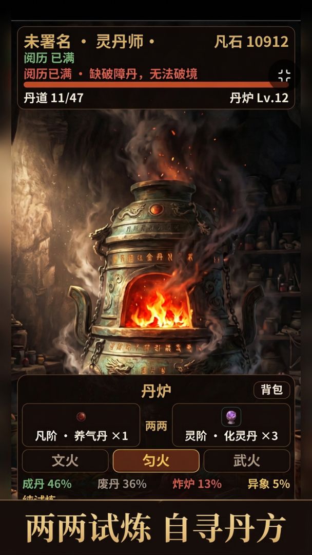 丹道静界游戏截图