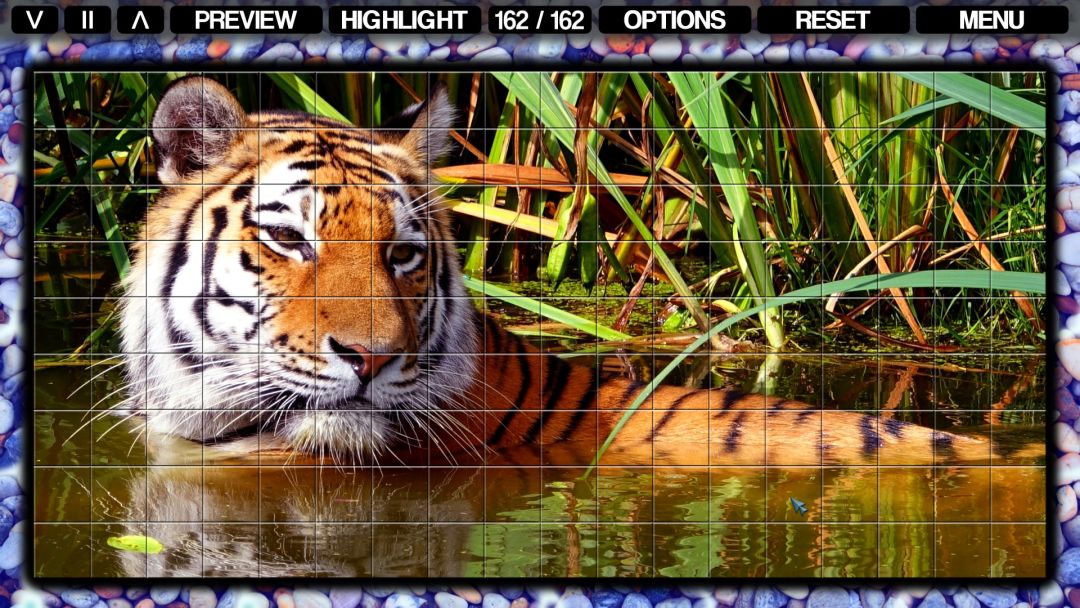 Pixel Puzzles Mosaics游戏截图