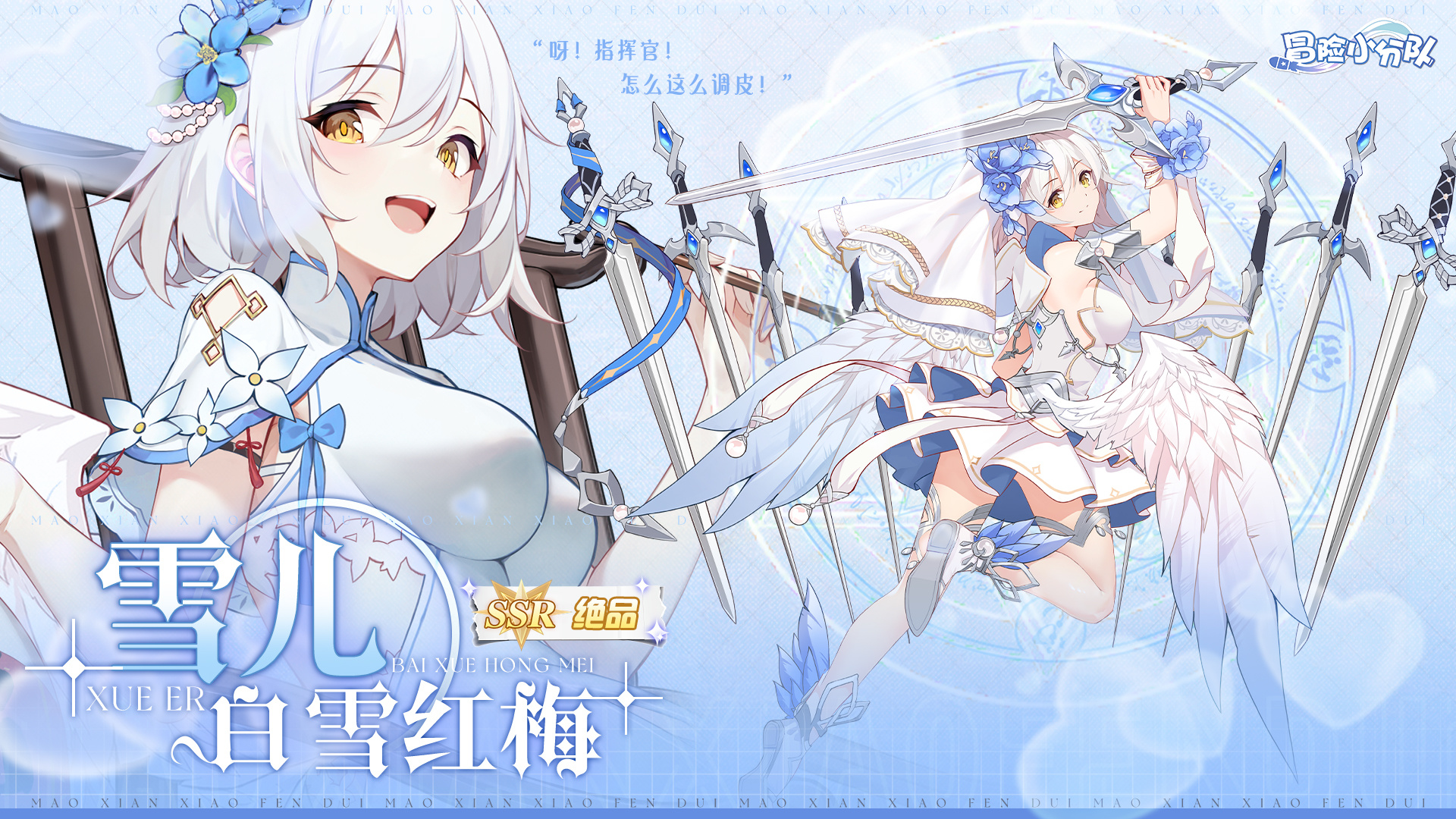 年度限定,绝品衣柜