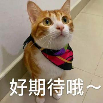 远古遗迹 神秘宝藏——探险「万古禁地」