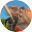 Animal Revolt Battle Simulator
