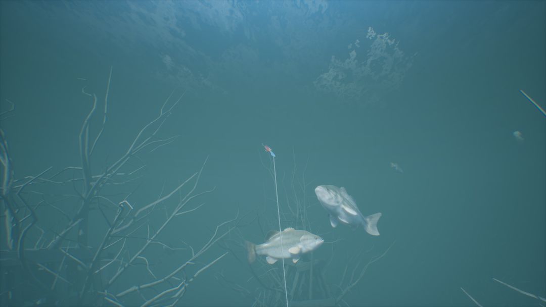 Bassmaster® Fishing游戏截图