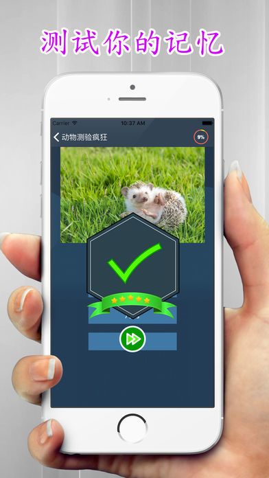 动物  测验狂热症 学习动物名称游戏截图