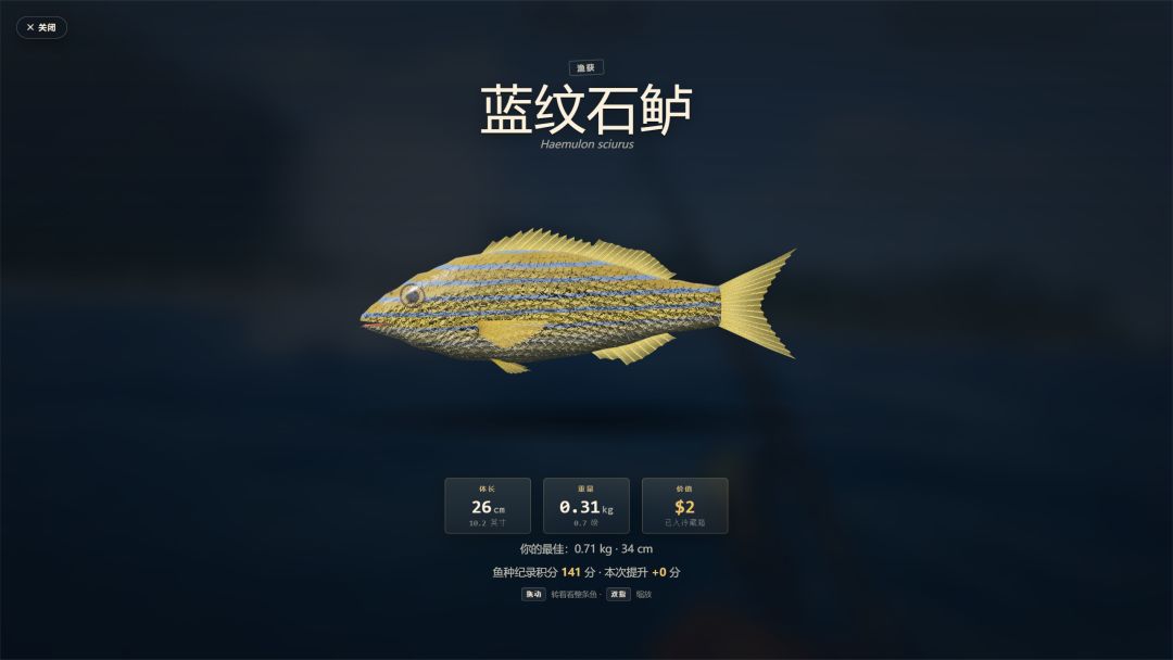 潮汐岛钓鱼游戏截图