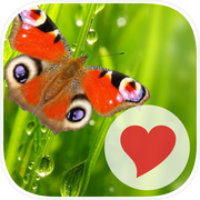 400 Exceptional Words IIicon