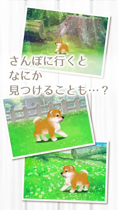 My Dog Life -Japanese Shiba Inu Edition-游戏截图