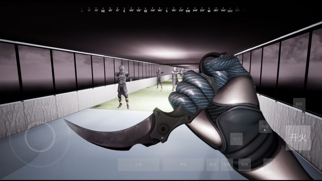 日辉夜影游戏截图