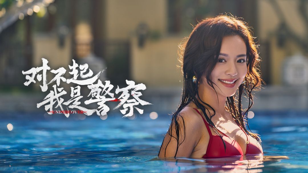 对不起，我是警察截图