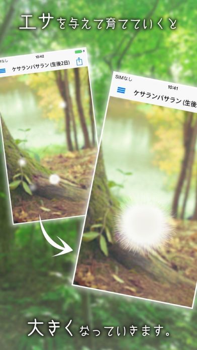 ケサランパサラン - 不思議な生き物を育成してみませんか？【癒し系育成ゲーム】游戏截图