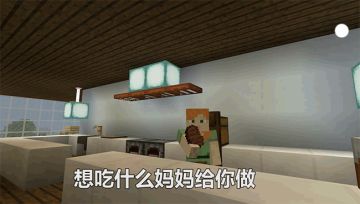 熊猫惨变流浪猫，高考前后的人间真实！