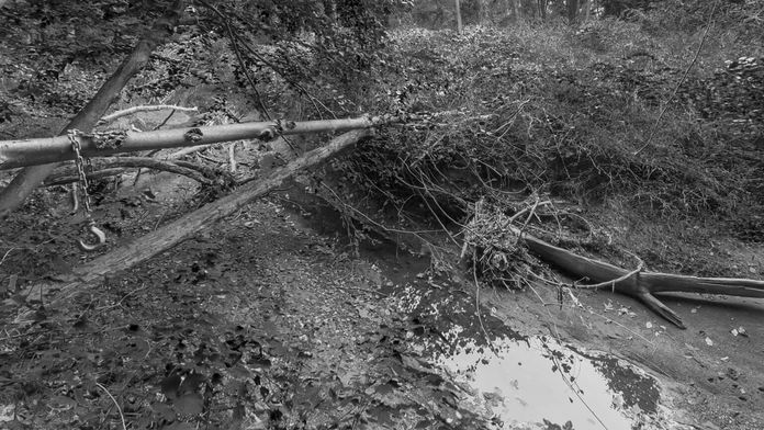 Wardwell House VR游戏截图