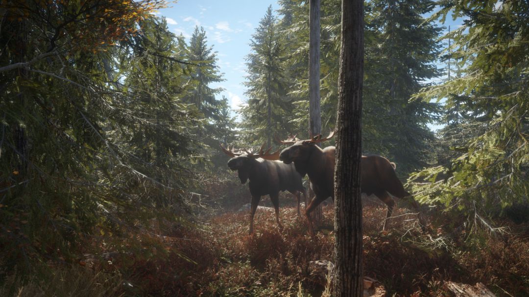 荒野的召唤游戏截图