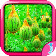 Escape Fruit Senseicon