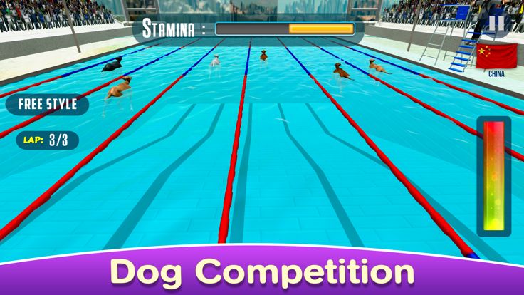 Dog Swimming Race游戏截图