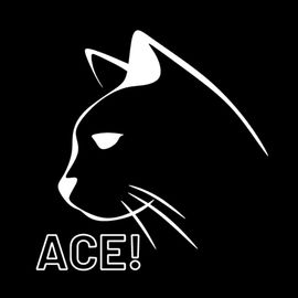 大黑猫ace工作室