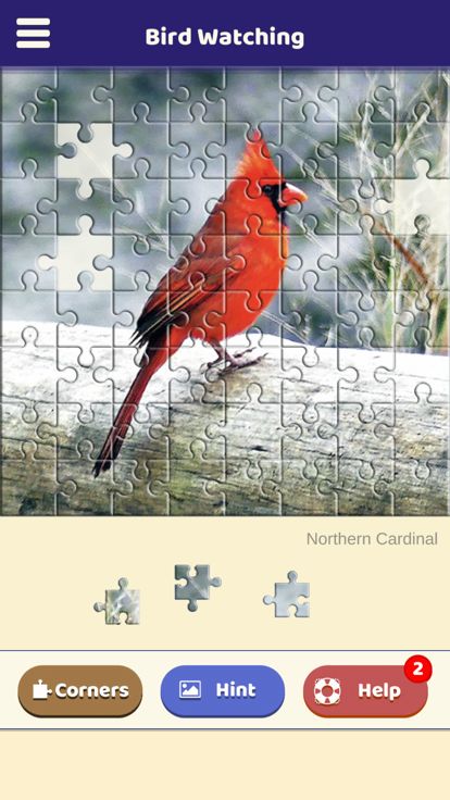 Bird Watching Puzzle游戏截图