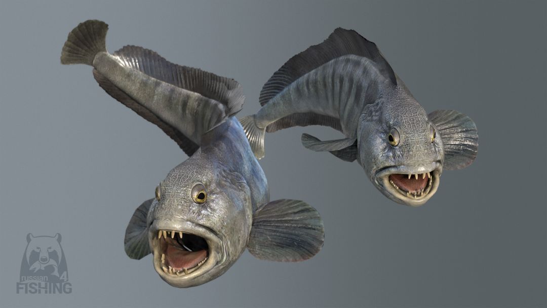 俄罗斯钓鱼 4游戏截图