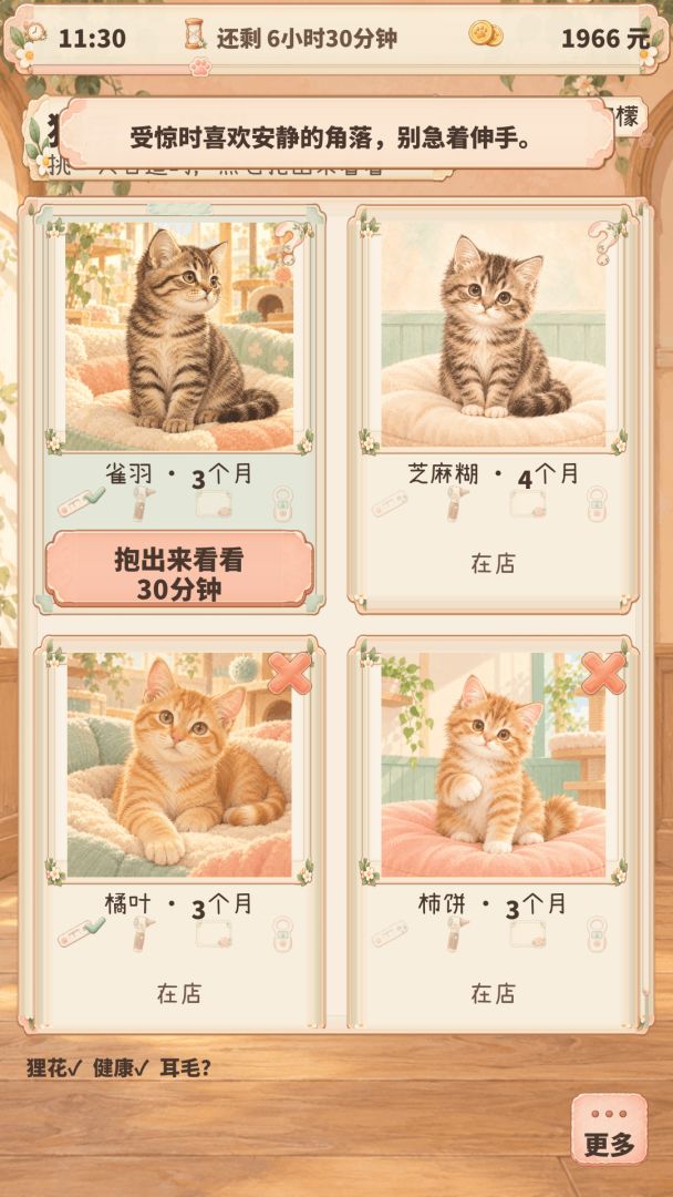 猫舍店长：你的猫缘我来安排游戏截图