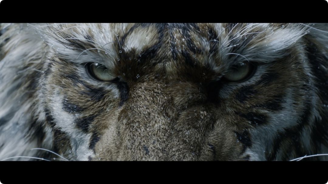 黑神话：钟馗游戏截图