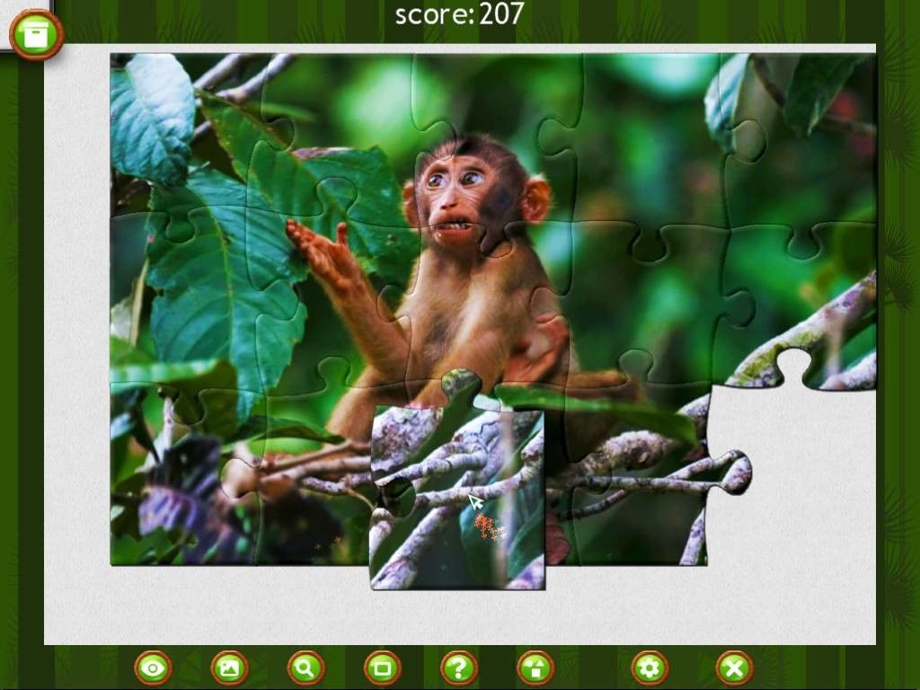 1001 Jigsaw. Wild Animals游戏截图